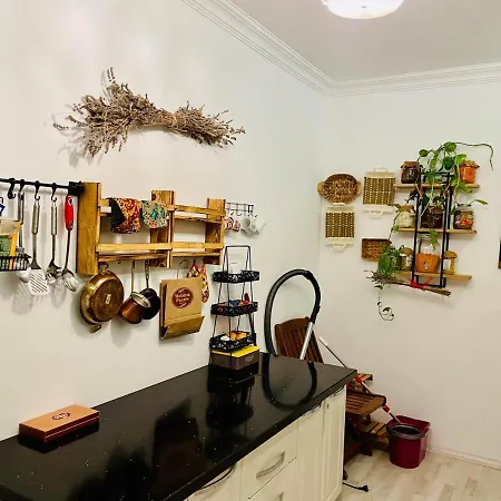 Lavanta Villa Sapanca فيلة *